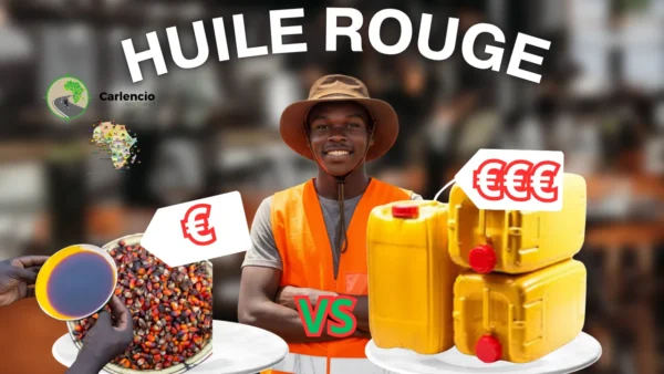 Huile rouge ( dérivé du palmier)