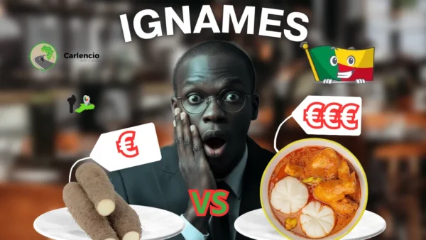 Productions et Transformation Ignames